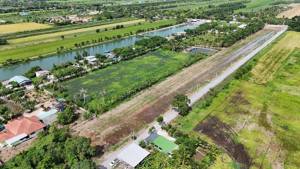 ขายที่ดินเงินผ่อนตำบลบึงบอน อำเภอหนองเสือ ปทุมธานี 12