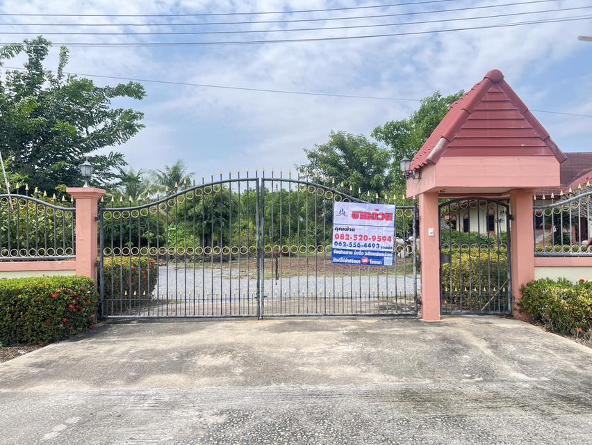 ขายด่วน! ที่ดินผืนใหญ่ 12 ไร่ พร้อมบ้าน 4 หลัง (ตกแต่งด้วยไม้สัก) – อ.สามชุก จ.สุพรรณบุรี 1