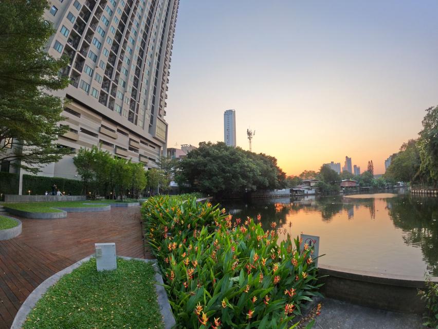 For Sale condo studio room nice view Onnut ขายคอนโดห้องสตูดิโอ ทำเลดีมาก ติดถนนใหญ่ อ่อนนุช 15