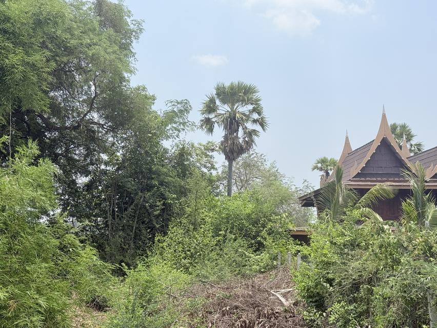 ที่ดินเมืองเพชรบุรี ใกล้เพชรเกษม ยกแปลง 6 แสน 2
