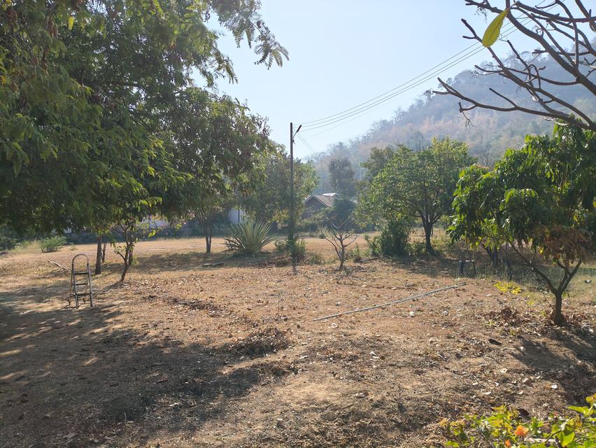 ที่ดินวิวทะเลสาบอ่างเก็บน้ำลำสำลาย 4