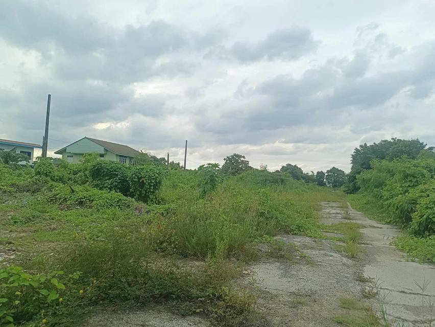 ขายที่ดินติดถนนรามคำแหงติดรถไฟฟ้าสายสีส้ม7ไร่3งาน55ตรว. 7