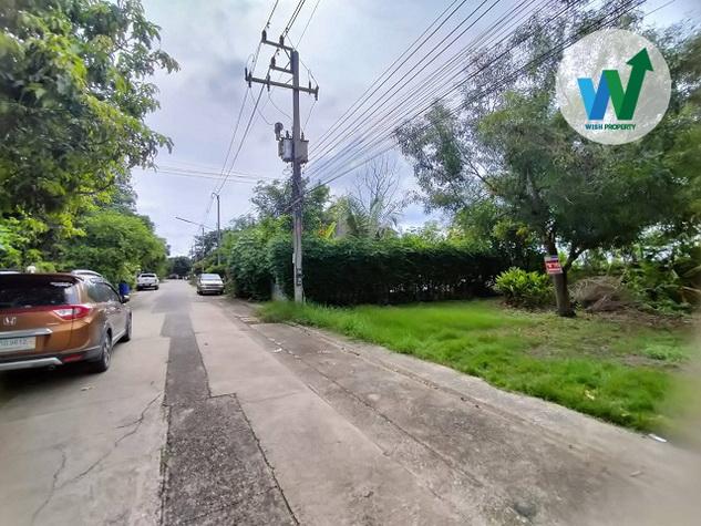 ขายด่วน ที่ดินราคาถูก เดินทางสะดวก เลียบคลอง 5 คลองหลวง ปทุมธานี 3