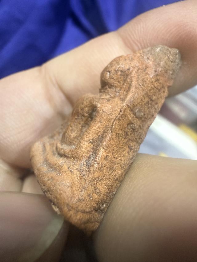 นางพญาพิษณุโลกพิมพ์เข่าโค้ง 5