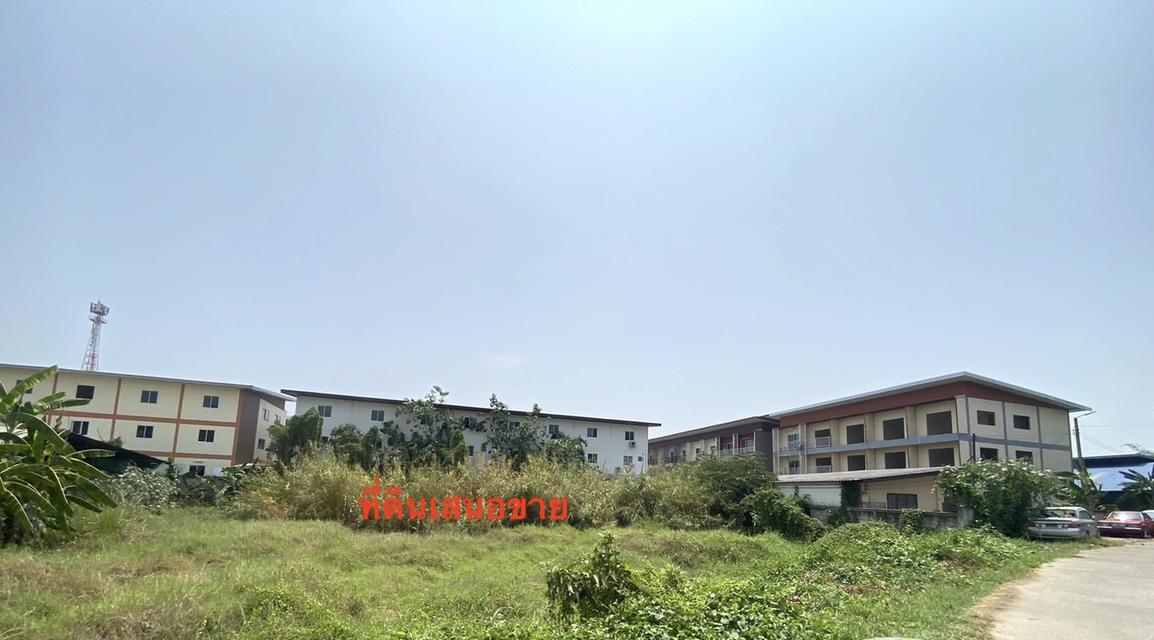 ขาย 10 ล้าน ยกแปลง ที่ดินถนนรอบเมืองเชียงใหม่ 081 336 9775 1