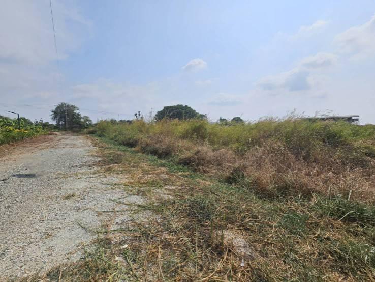 ขายที่ดินเปล่า แปลงมุม  ติดถนน 2 ด้าน ซอยวัดศรีวารีน้อย  อำเภอบางเสาธง สมุทรปราการ 7