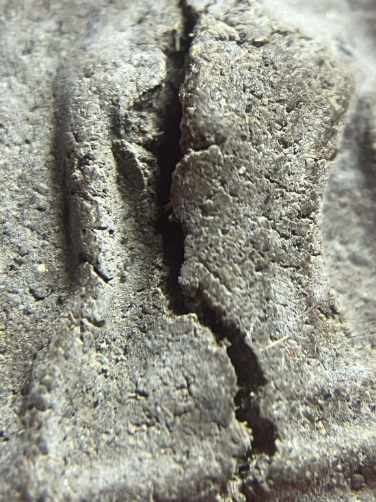 ขุนแผนดิน 7 ป่าช้าผงพรายตอกตะปูฝาโลงไม่รู้ที่เนื้อหาจัดจ้าน