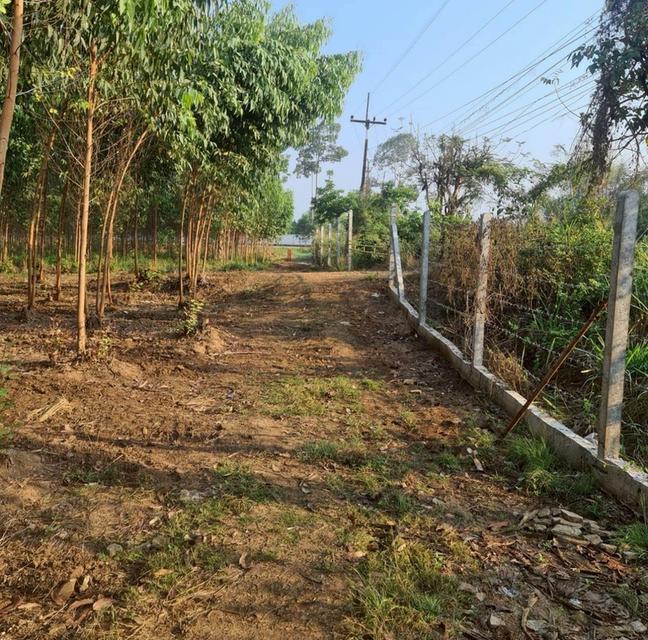 ที่ดินเปล่า ถนนสระแก้ว-เขาหินซ้อน ต.สระแก้ว อ.เมืองสระแก้ว จ.สระแก้ว 3