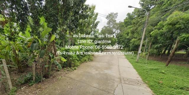 DSL-1015 ขาย ที่ดิน ขายที่ดินเปล่า 2-0-64.1 ไร่ ท่าโพธิ์ จ.พิษณุโลก ราคา 1.60 ล้านบาท 1600000 บาท 2 ไร่ 864 ตร.วา ใกล้กั 5