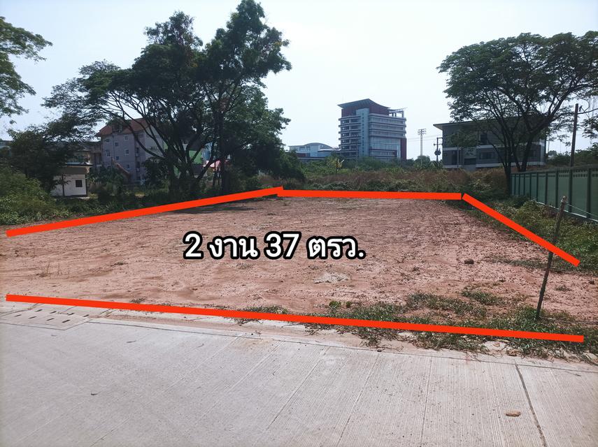 ขายที่ดินเปล่ากลางเมืองขอนแก่น 5