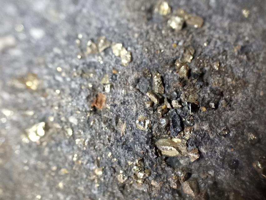 ปู่ทวดเนื้อว่าน 2497 6