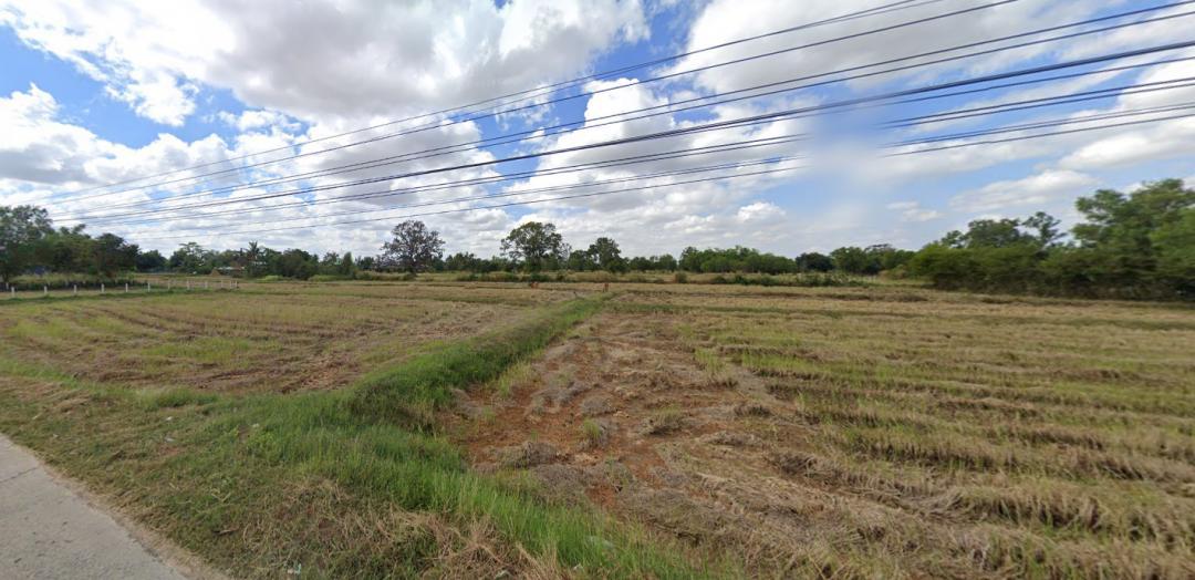 ขายที่ดิน ศรีสะเกษ อำเภอโพธิ์สุวรรณ 1