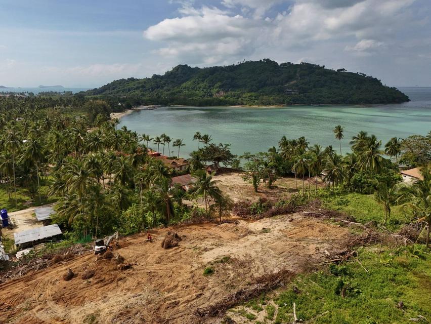 ขายที่ดินเกาะสมุย 2 ไร่ ตลิ่งงาม ใกล้ทะเล แบ่งขาย เหมาะสร้างวิลล่าและรีสอร์ต 3