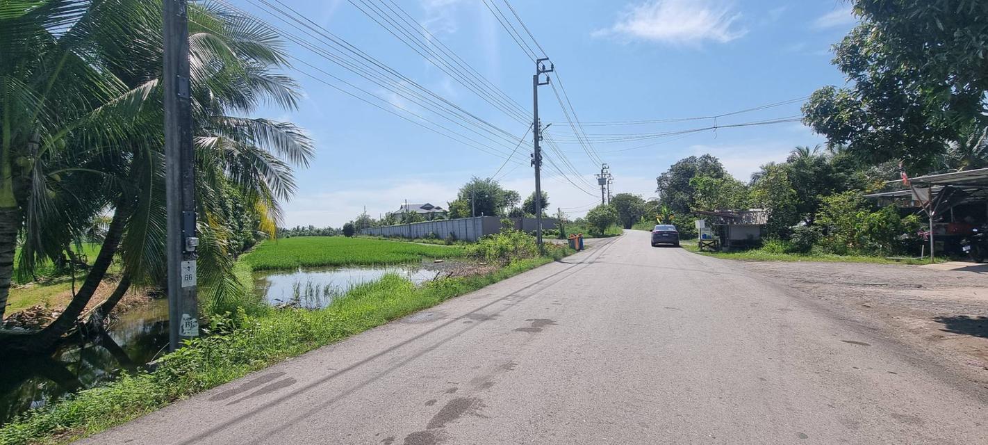 💎 [โอกาสทอง] ขายที่ดินลาดกระบัง-ทับยาว 2 ไร่ (แบ่งขายได้) 11