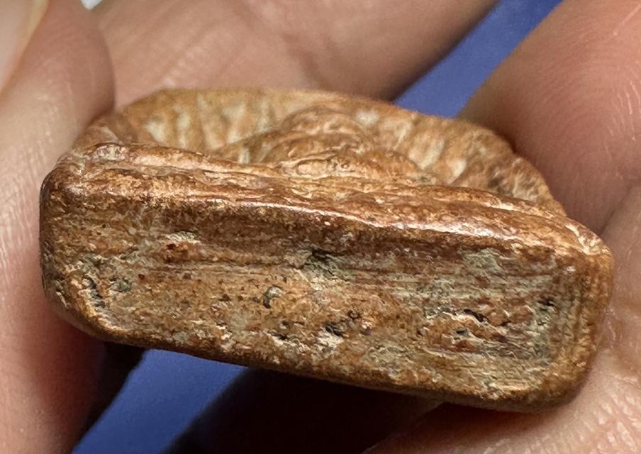 พระกำแพงซุ้มกอพิมพ์ใหญ่ 6