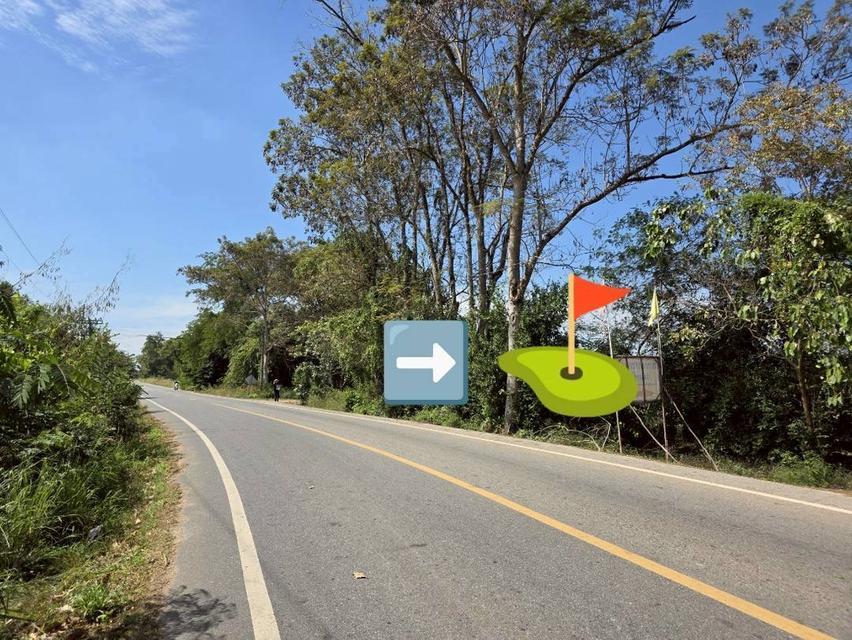 ขายที่ดินเปล่า 20 ไร่ พนมสารคาม ฉะเชิงเทรา เขต EEC ราคาต่อวาไม่ถึงพัน เข้าออกได้ทั้งถนน 304 และ 331 3