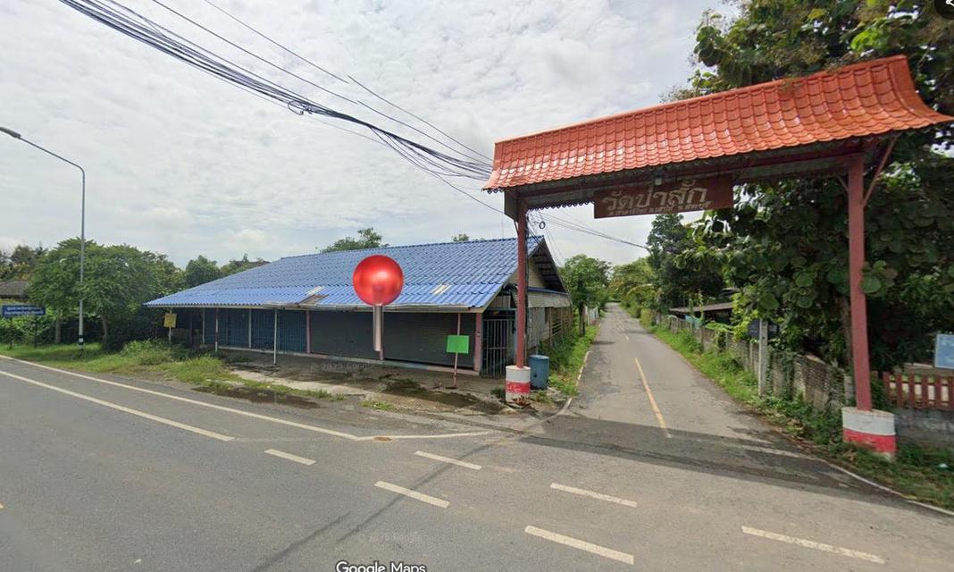 ขายที่ดินแปลงเล็กเสาไห้สระบุรี 50ตร.วา ราคา370,000 บาท ใกล้วัดป่าสักตำบลศาลารีไทยสระบุรี0934415691 8