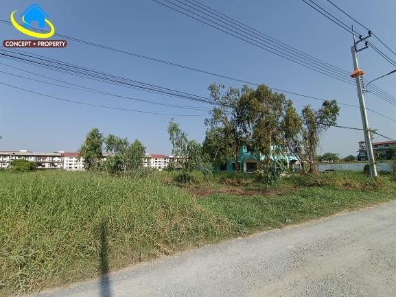 ขายที่ดิน เนื้อที่ 1 ไร่ ถนนประชาพัฒนา ทับยาว ลาดกระบัง 2