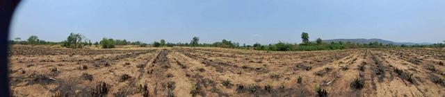 ที่ดินเปล่า จ.ลพบุรี อ.ลำสนธิ 14