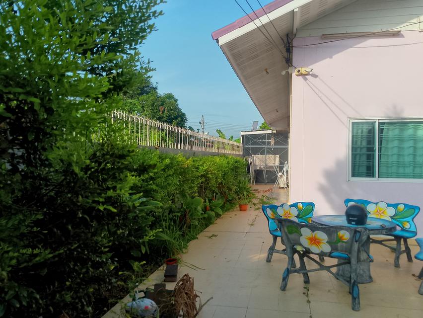 บ้านเดี่ยวราชบุรีเนื้อที่261ตารางวา2งานพร้อมตกแต่ง 1