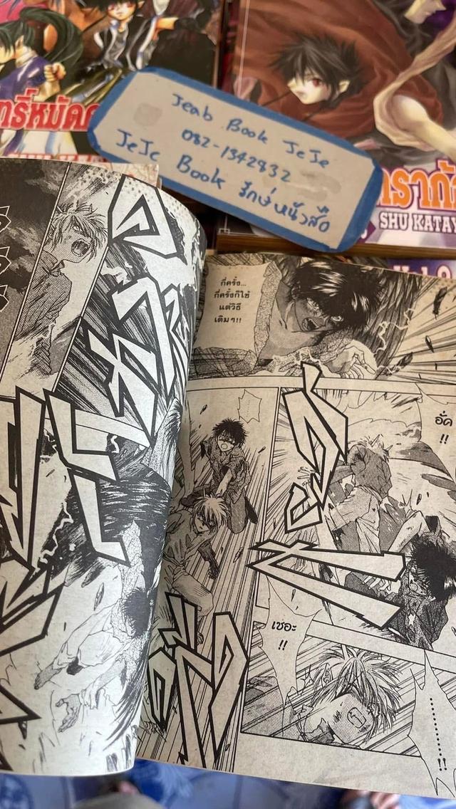 หนังสือการ์ตูน ฤทธิ์หมัดดราก้อน 1-14 จบ รูปที่ 5