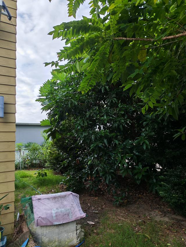 บ้านเดี่ยว ขนาด 57.5 ตารางเมตร เป็นบ้านหลังริม ติดสวนสาธารณะ 3