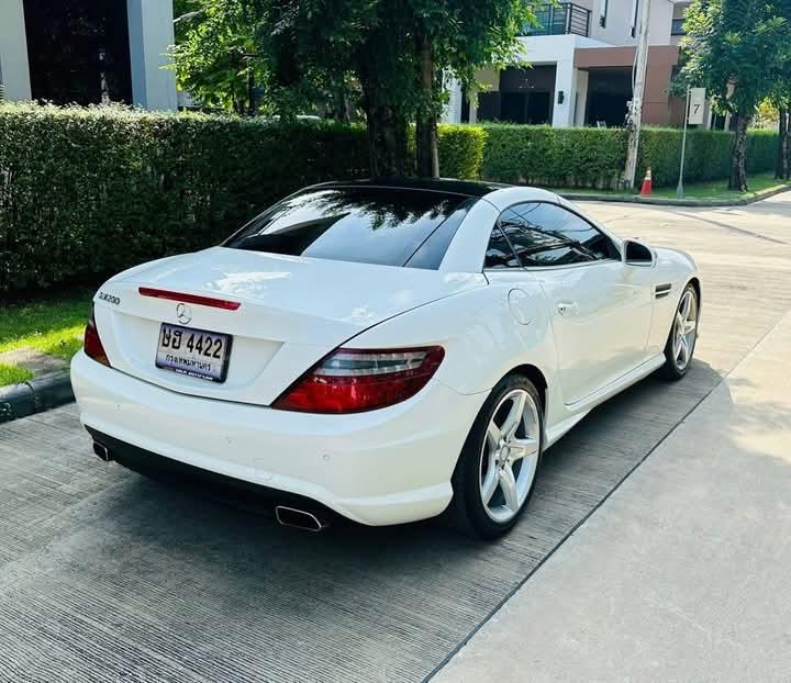 ขาย MERCEDES-BENZ SLK-CLASS 2