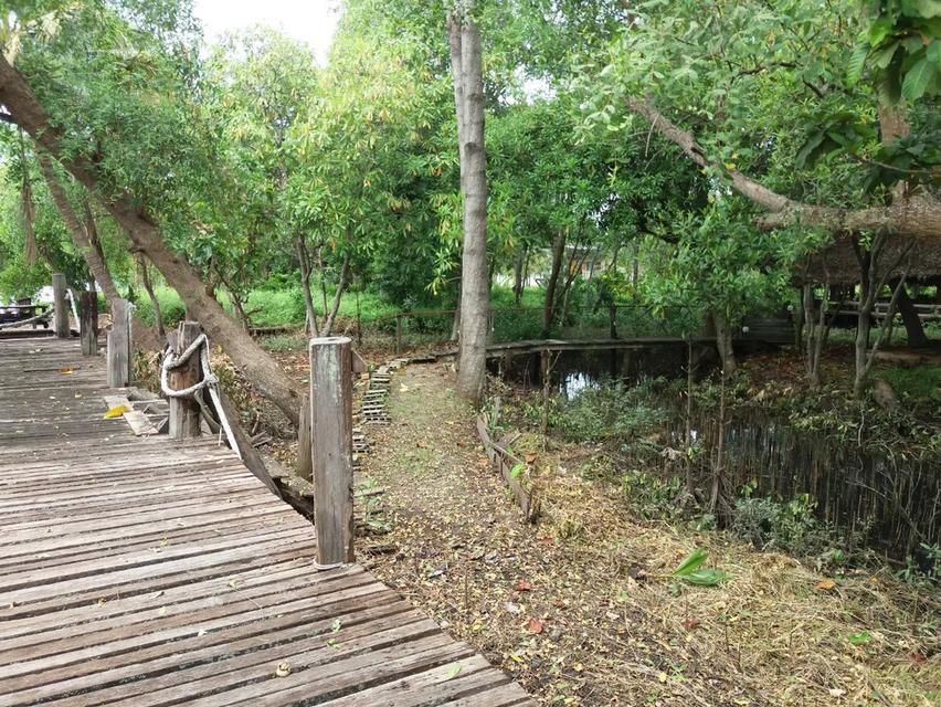 ที่ดินสวยติดแม่น้ำแม่กลอง 16