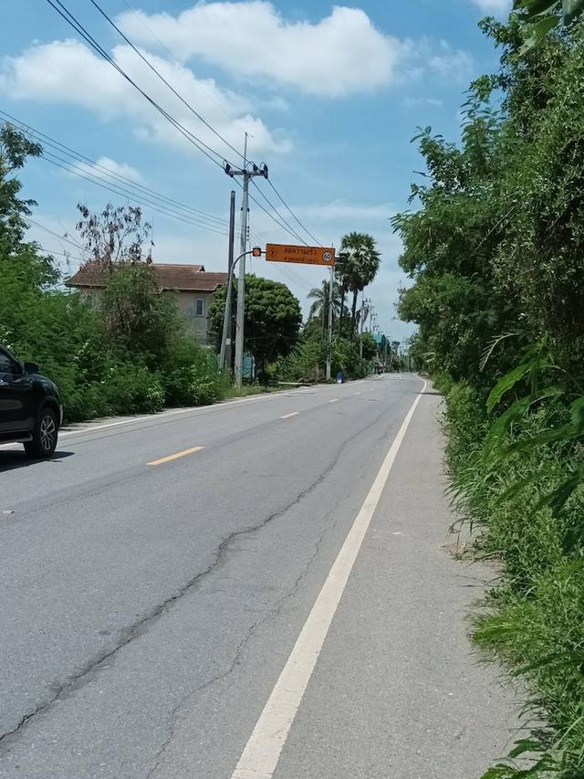 ที่ดิน หนองเสือ ปทุมธานี ขนาด 50 ตร.วา 290,000 10