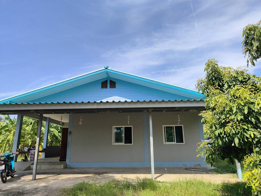 บ้านพร้อมที่ดินรวม1ไร่3งาน81ตรว. 9