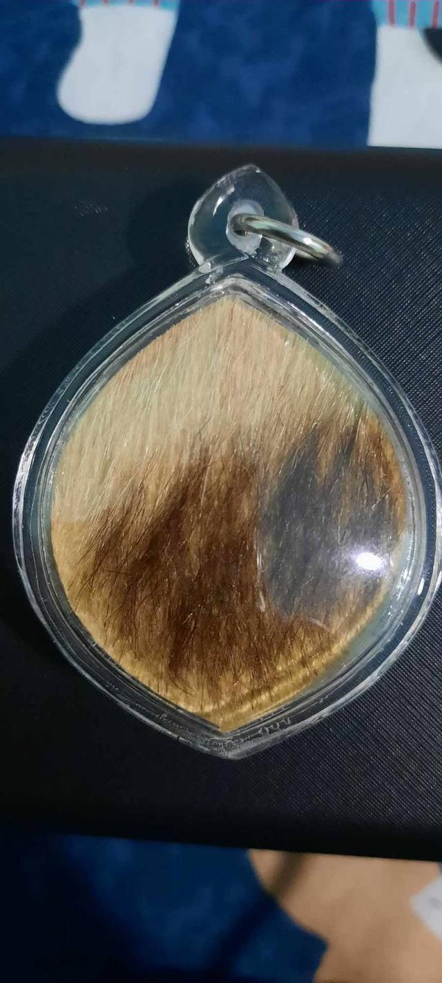 หนังเสือหยดน้ำหลวงพ่อไฉน 2