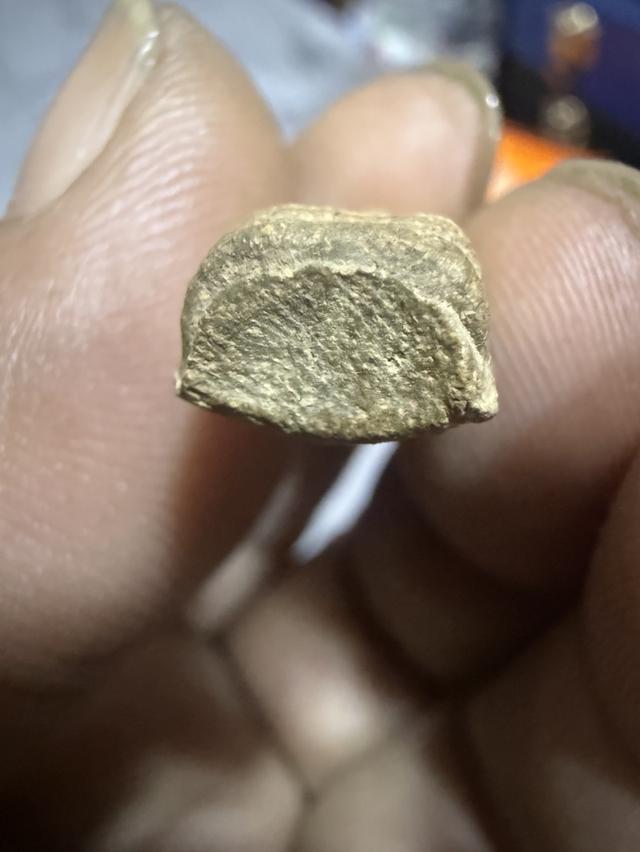 พระรอดลำพูนพิมพ์กลาง 5