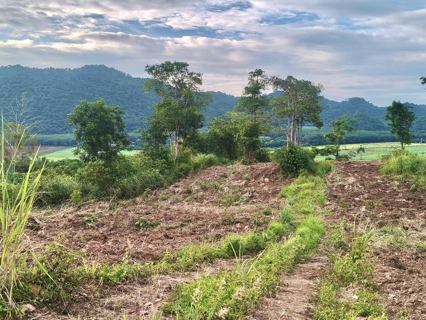 ขายที่ดินบนเนินเขาใหญ่ ที่บนเนิน 15ไร่ โป่งตาลอง ปากช่อง ใกล้2213ถนนทองอุไร ใกล้ทอสคานา หนองขี้ตุ่น วิวเขาสวยมาก นครราชสีมา ขายด่วน 0879074045 5