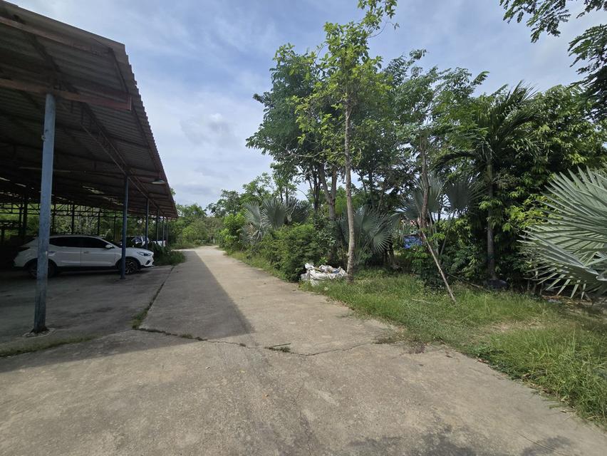 ที่ดิน บ้าน พร้อมโกดัง  12