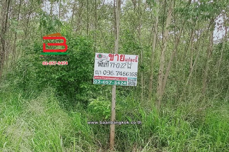 ที่ดินเปล่า ตำบลท่าบุญมี (สี่แยกเกาะโพธิ์) เนื้อที่ 71-0-22 ไร่ (ใกล้อ่างเก็บน้ำคลองหลวงรัชชโลทร) ตำบลท่าบุญมี อำเภอเกาะจันทร์ จังหวัดชลบุรี