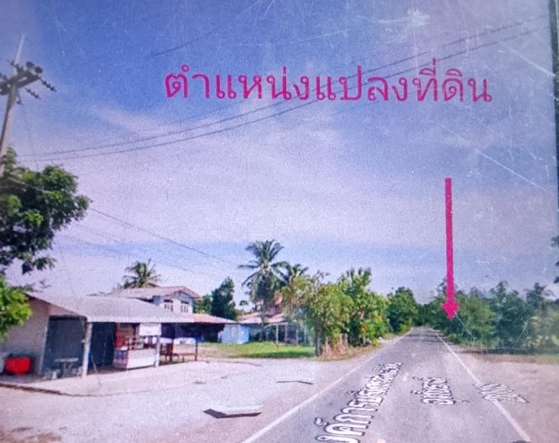 ขายที่ดิน 1 ไร่ ติดถนนลาดยาง อ.หนองขาหย่าง จ.อุทัยธานี  เจ้าของขายเอง 5