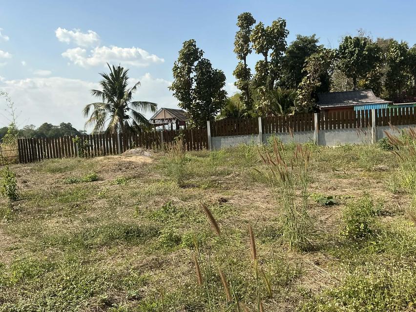 ขายที่ดินติดริมน้ำปิงกำแพงเพชร 13