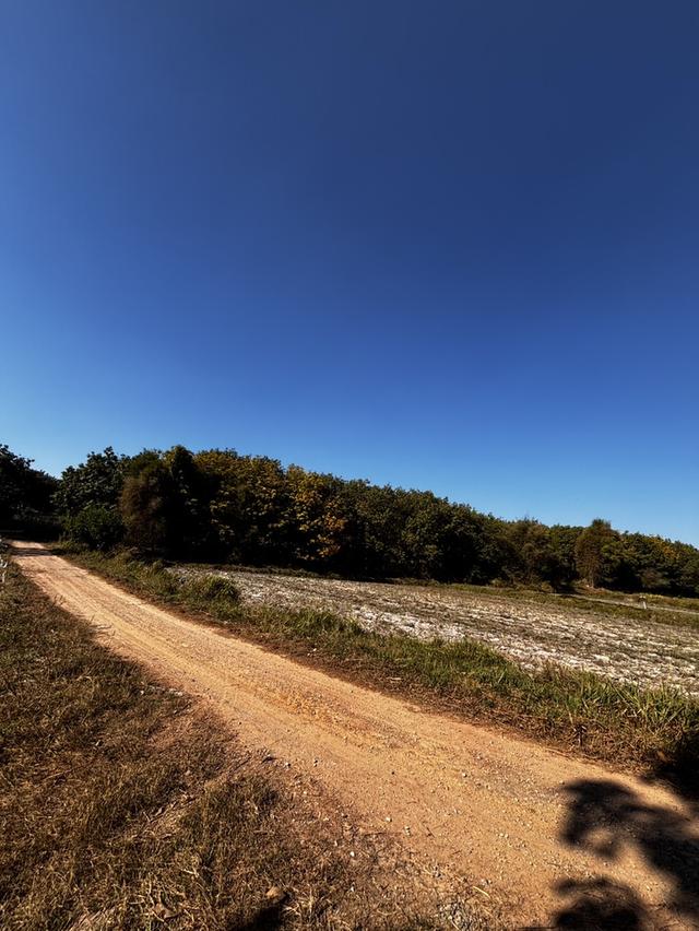 ปล่อยที่ดินเปล่าสวนเกษตร 6