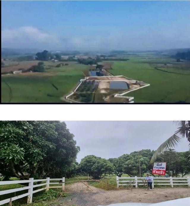 ขายที่ดินอ.เชียงดาว​ จ.เชียงใหม่ 7