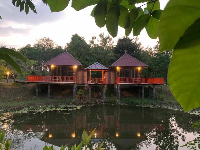 บ้านอิงลม ชมหมอก 2  วัดท่าซุงสาขา 9  วังน้ำเขียว 4 ไร่ 7.5 ล้าน 8