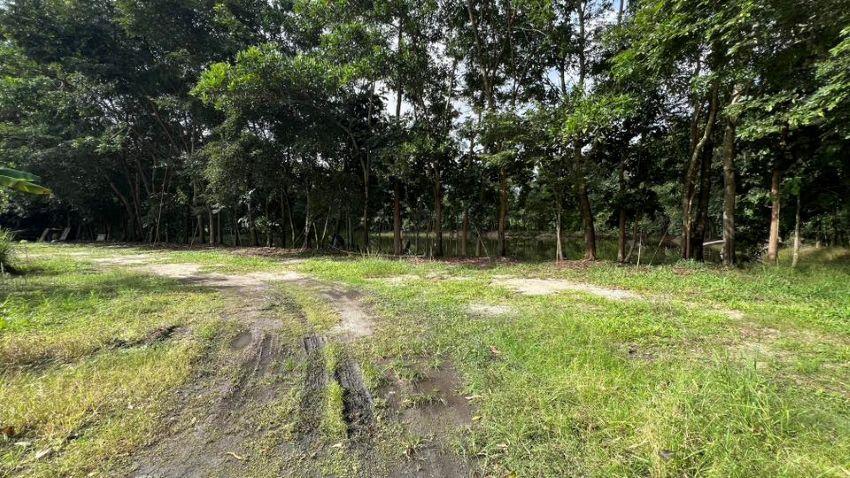 ขายที่ดิน ทับมา ระยอง แปลงสวย วิวธรรมชาติ ติดคลอง 8-2-93 ไร่ 5