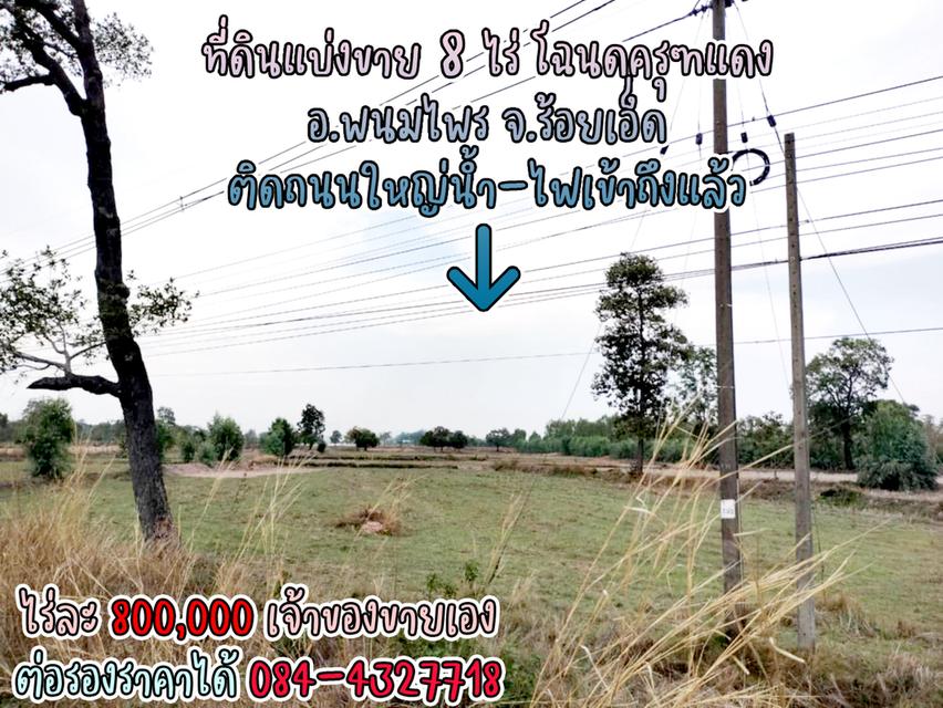ที่ดินแบ่งขาย 8 ไร่ ราคาไร่ละ 800,000 พร้อมโฉนดครุฑแดง น้ำไฟผ่าน ติดถนนใหญ่ จ.ร้อยเอ็ด เจ้าของขายเอง ราคาต่อรองราคาได้ สนใจติดต่อ 084-4327718 8