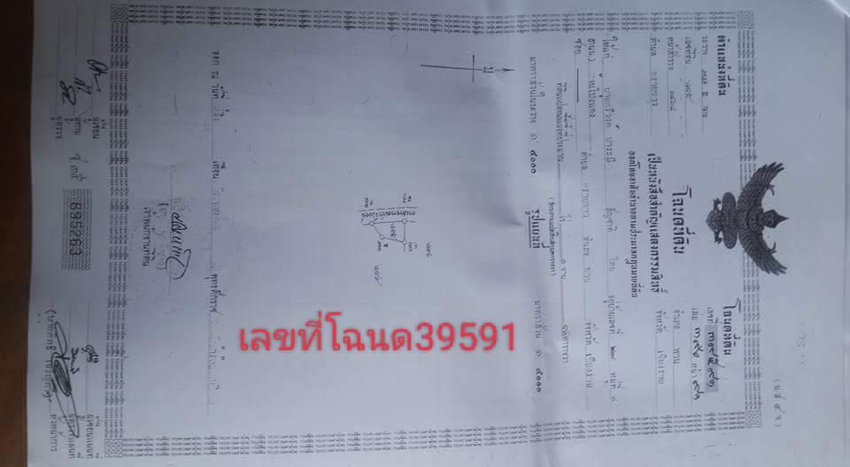ขายที่เนินสวย 4
