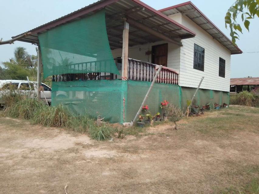 บ้านพร้อมที่ดิน มีโฉนด รูปที่ 2