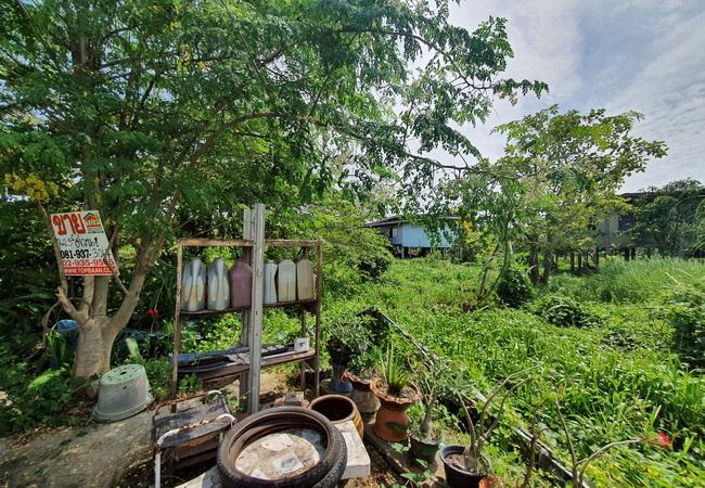 ขายที่ดิน สามโคก ใกล้ม.ธรรมศาสตร์รังสิต เนื้อที่ 162 ตร.ว. แปลงสวย 2
