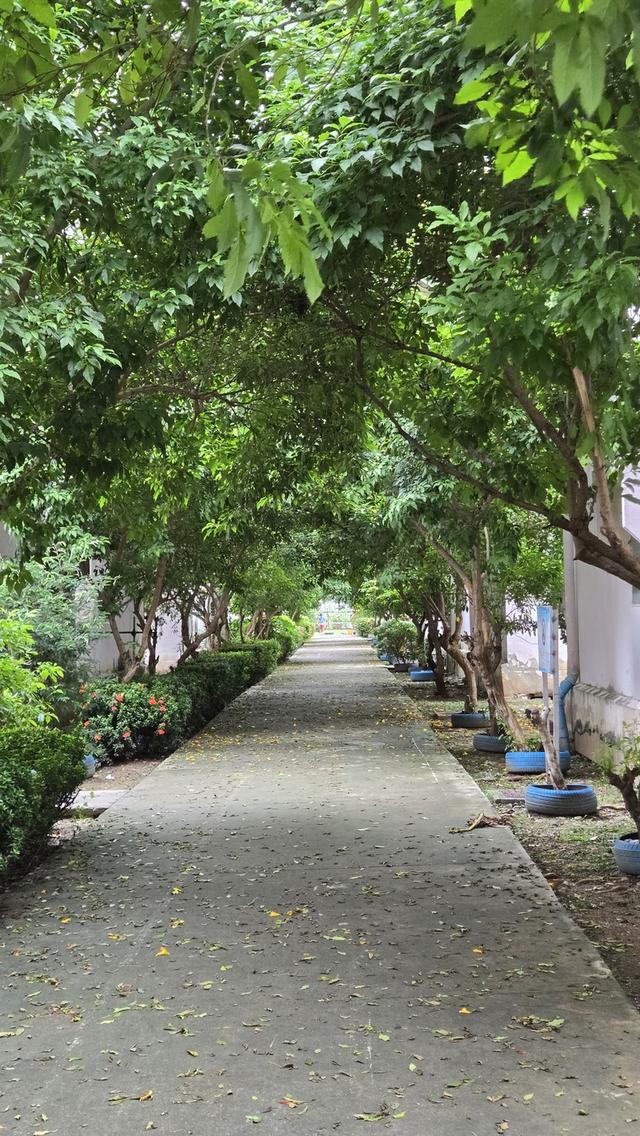 เจ้าของขายเอง - ให้เช่า ห้องเอื้ออาทรร่มเกล้า มีโฉนด ตกแต่งเฟอร์อุปกรณ์ พร้อมเข้าอยู่ ร่มเกล้า ลาดกระบัง ซอยมีสทีน มีนบุรี สุวินทวงศ์ สนามบินสุวรรณภูม 17