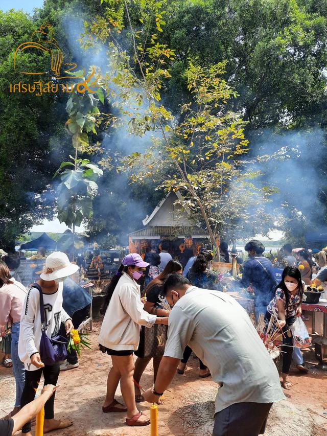 นาคเกี้ยวเกี่ยวทรัพย์ ปี2562 ศาลท้าวพญาชมภูนาคราช วัดพระธาตุวาโย (วัดห้วยน้ำทรัพย์) 4