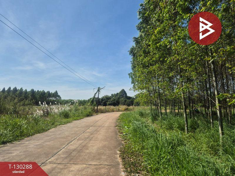 ขายที่ดิน ( แบ่งขาย 2 แปลง ) เนื้อที่ 6 ไร่ 1 งาน 42.5 ตารางวา อำเภอพนัสนิคม จังหวัดชลบุรี 3