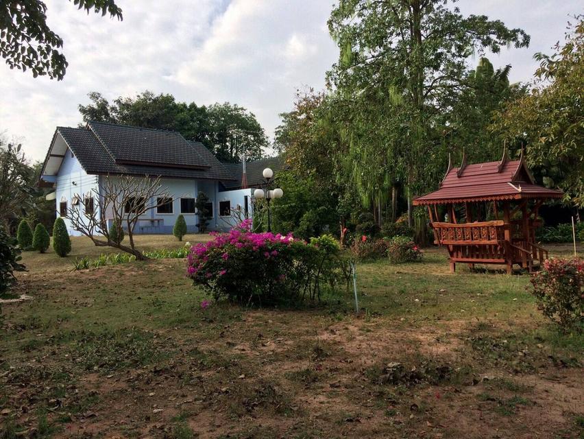 ขายบ้านพร้อมที่ดิน อ.เมือง จ.นครราชสีมา 14