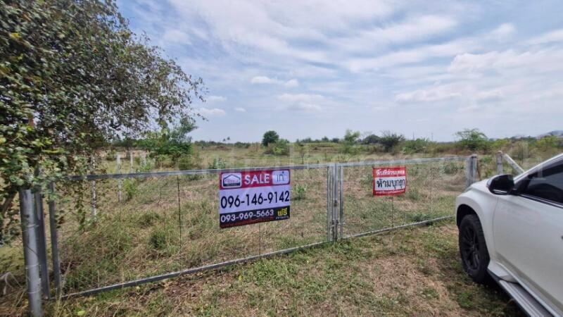 ที่ดินเปล่า 10-3-36 ไร่ ท่าม่วง กาญจนบุรี ปลูกต้นสักทองกว่า 500 ต้น 11